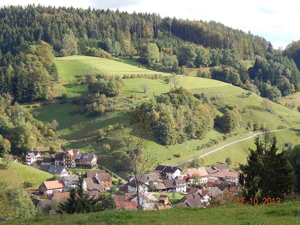 Haus Wiesental Kleines Wiesental Bagian luar foto