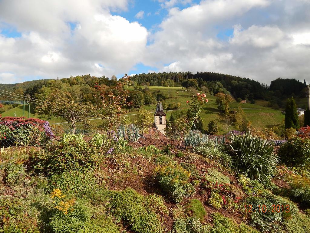 Haus Wiesental Kleines Wiesental Bagian luar foto
