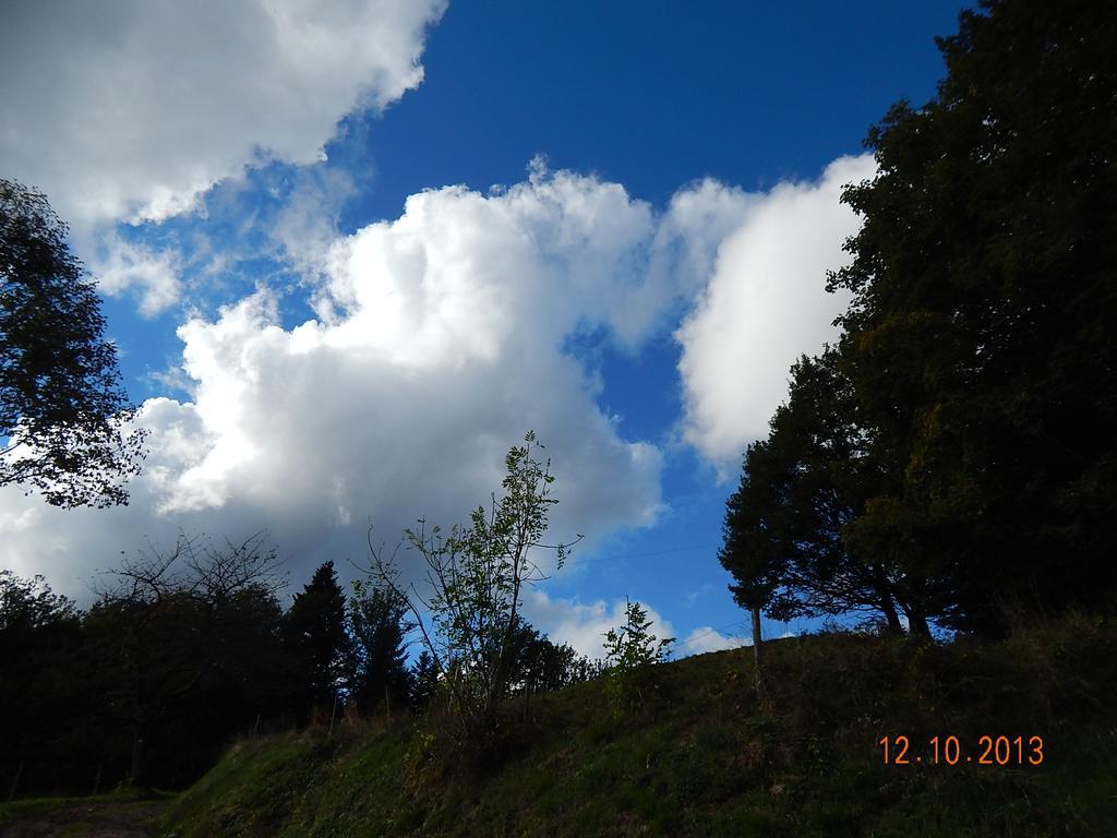 Haus Wiesental Kleines Wiesental Bagian luar foto