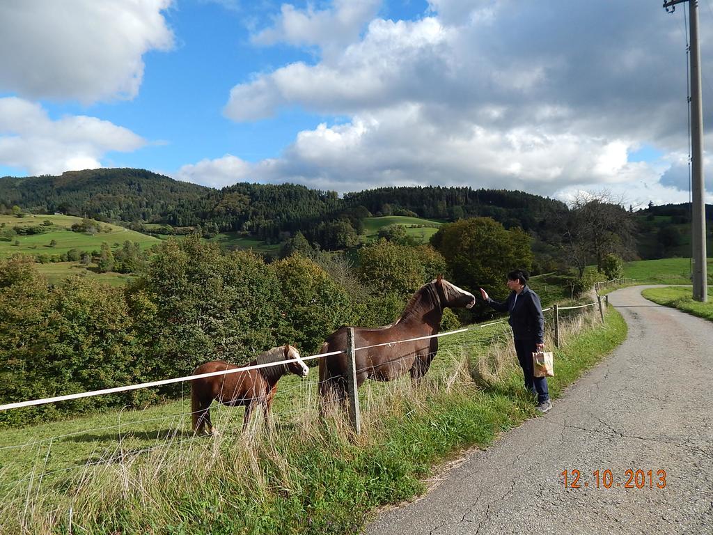 Haus Wiesental Kleines Wiesental Bagian luar foto