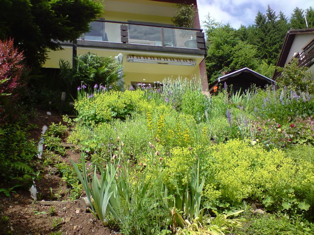 Haus Wiesental Kleines Wiesental Bagian luar foto