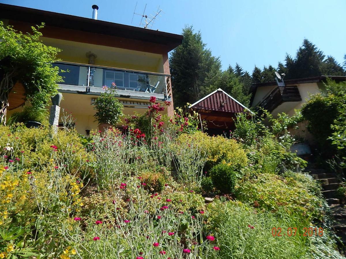 Haus Wiesental Kleines Wiesental Bagian luar foto