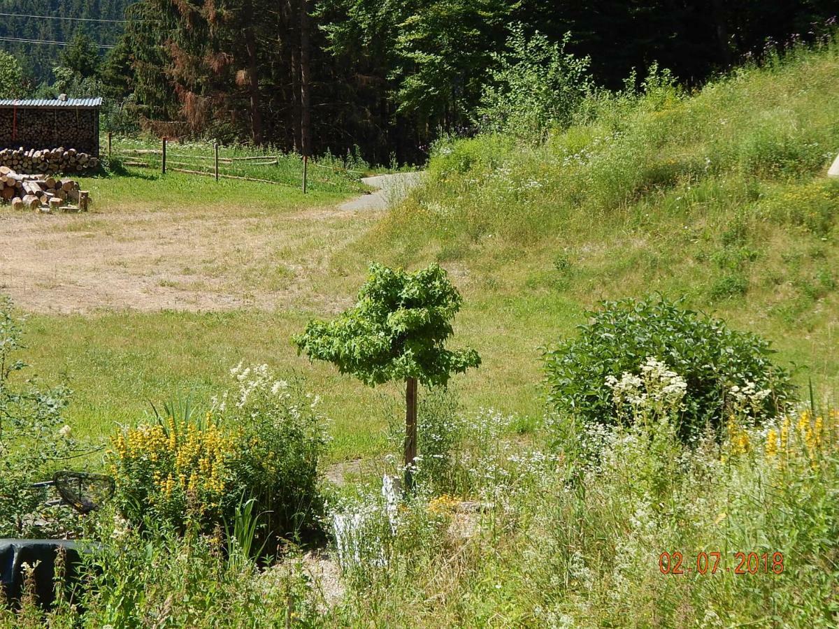 Haus Wiesental Kleines Wiesental Bagian luar foto