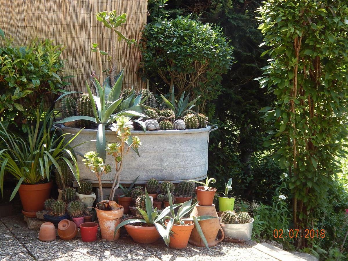 Haus Wiesental Kleines Wiesental Bagian luar foto