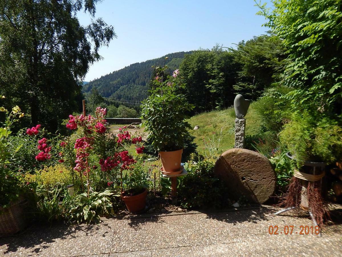 Haus Wiesental Kleines Wiesental Bagian luar foto